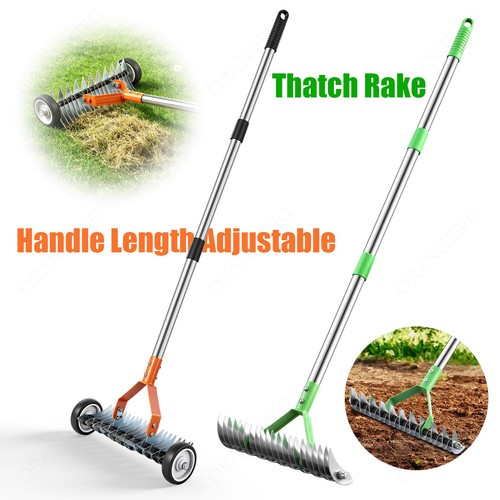 Lawn thatch and - lawn,